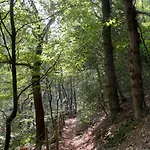 The Forester Vakantiehuis *