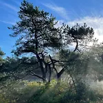 The Forester Schoorl