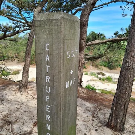 The Forester 度假居 斯霍尔