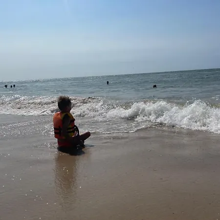 度假居 The Forester *