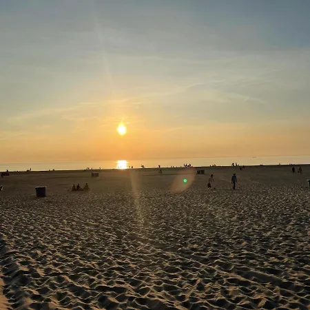 度假居 The Forester *