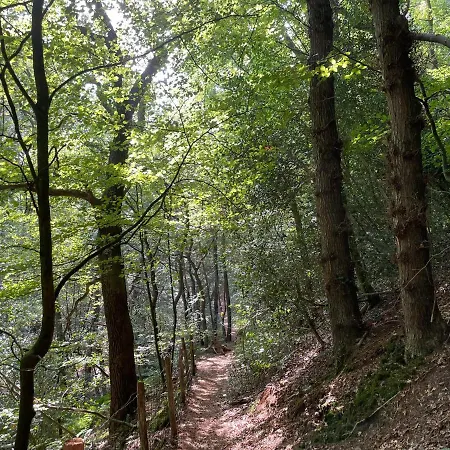 The Forester 度假居 *