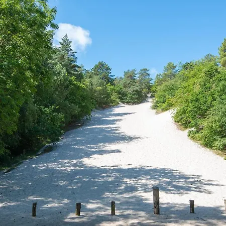 The Forester 度假居